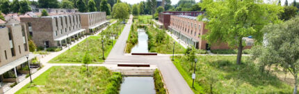 A Decade of Transformation: Climate Adaptation in Dordrecht’s Wielwijk Neighborhood